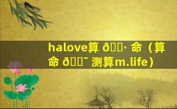 halove算 🕷 命（算命 🐯 测算m.life）